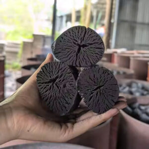LYCHEE BINCHOTAN / WHITE CHARCOAL LYCHEE FROM VIETNAM / FINEST GRADE FOR EXPORT (PACKING ON REQUEST)